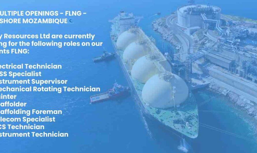 MULTIPLE OPENINGS – FLNG – OFFSHORE MOZAMBIQUE